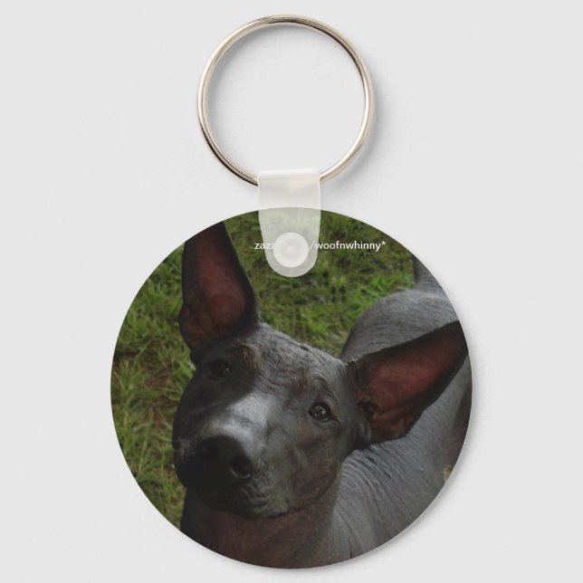 Porte-clés Xoloitzcuintli (Recto)