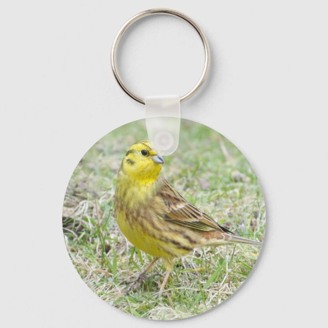 Porte-clés Yellowhammer Porte - clé d'oiseaux jaunes (Recto)