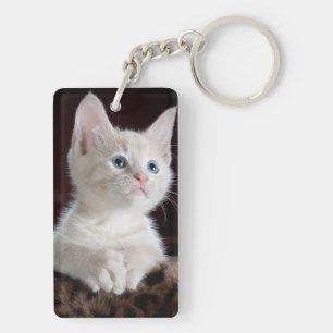 Porte-clés Yeux bleu chaton blanc