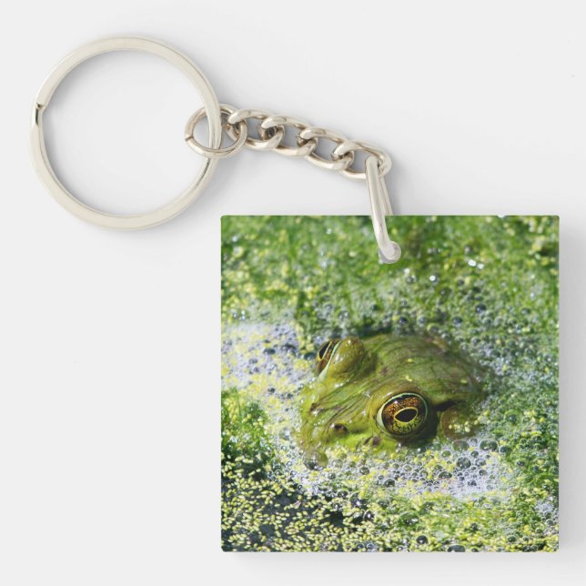 Porte-clés Yeux de grenouille (Devant)