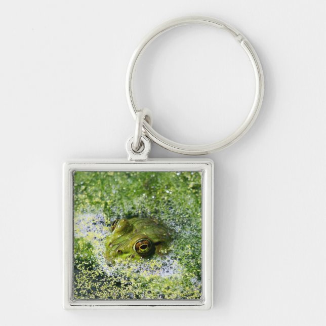 Porte-clés Yeux de grenouille dans un étang (Devant)