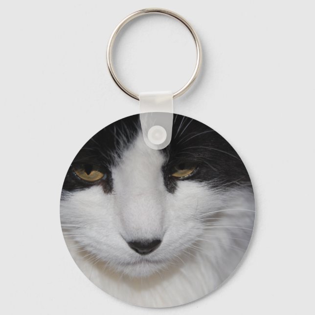 Porte-clés Yeux foncés de chat (Recto)