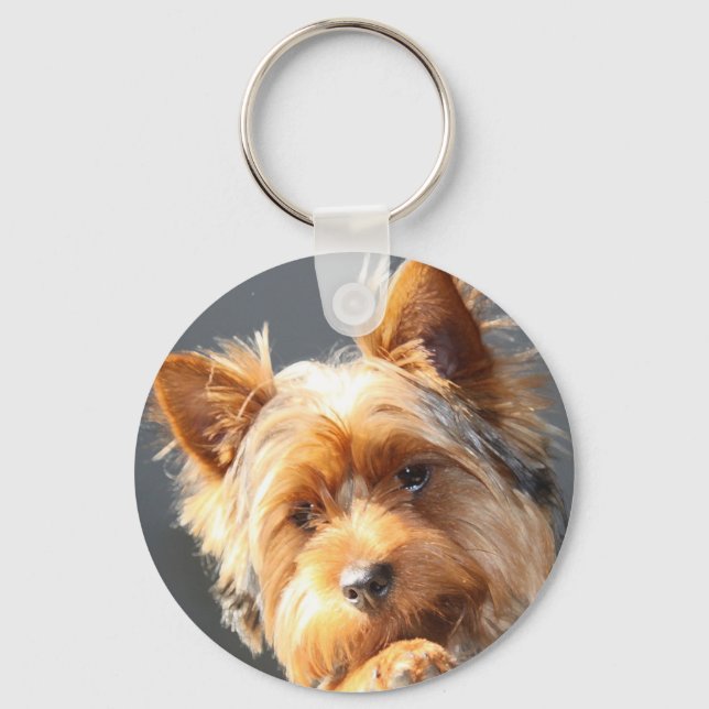 Porte-clés yorkie (Recto)