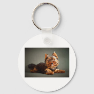 Porte-clés Yorkshire Terrier