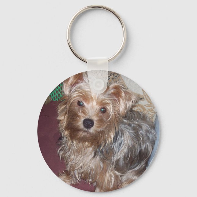 Porte-clés Yorkshire terrier joli clavier (Recto)