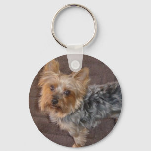 Porte-clés Yorkshire Terrier keychain