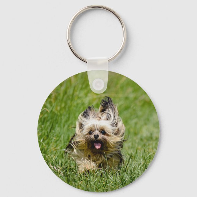 Porte-clés Yorkshire Terrier mignon courant dans l'herbe (Recto)