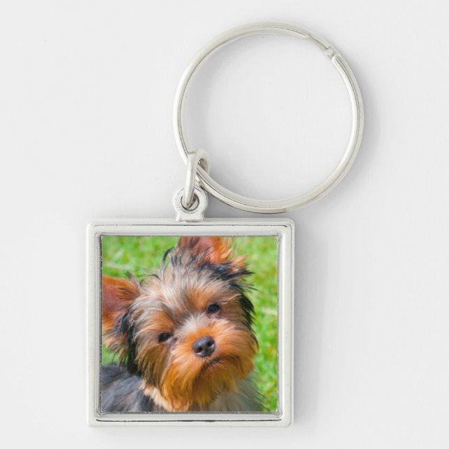 Porte-clés Yorkshire Terrier qui regarde vers le haut (Devant)