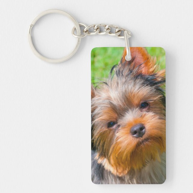 Porte-clés Yorkshire Terrier qui regarde vers le haut (Devant)