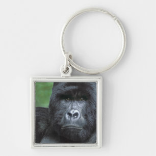 Porte-clés Zaïre, Parc national des Virunga. Portrait de