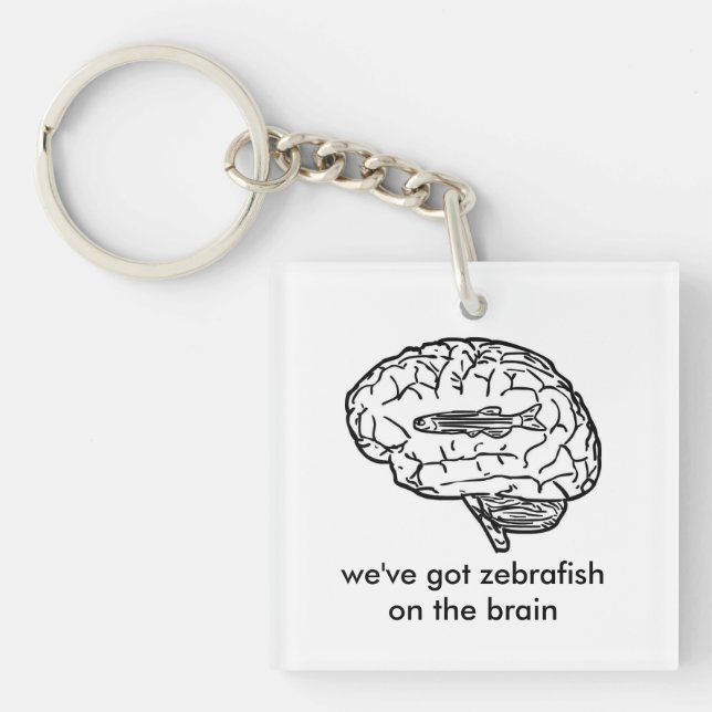 Porte-clés zebrafish sur le porte - clé de cerveau (Devant)