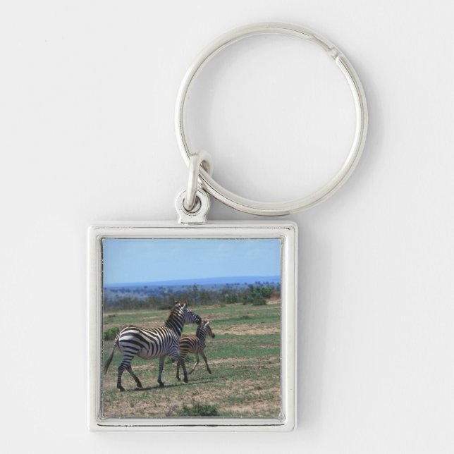 Porte-clés Zèbre de Grant (Devant)