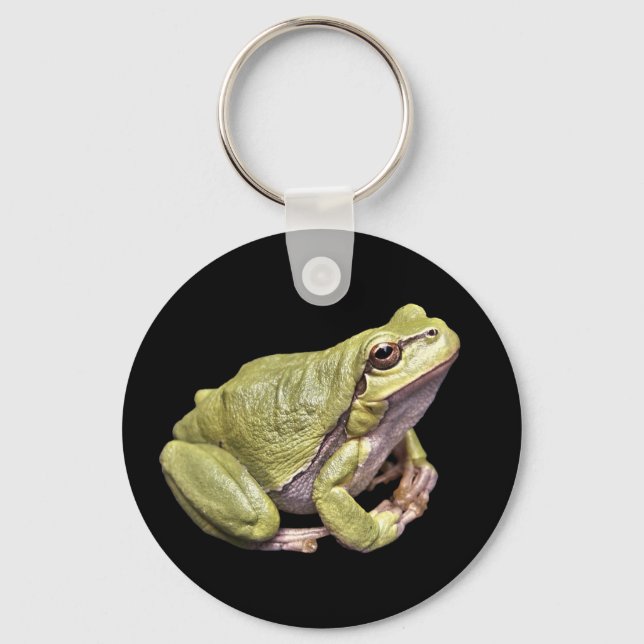 Porte-clés Zen Grenouille Mignonne Verte Méditation Rainette  (Recto)