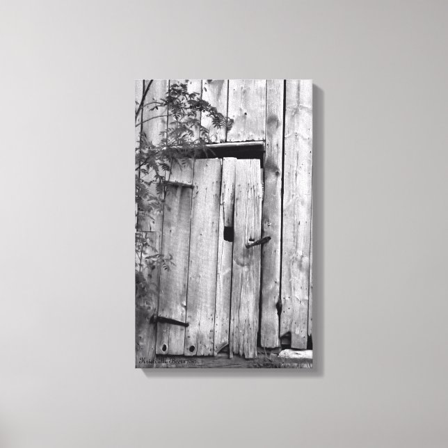 Porte de grange avec toile d'arbre Impression (Recto)