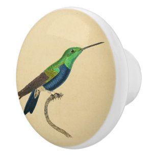 Porte En Céramique Bouton 1830 de tiroir de colibri de cru