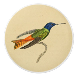 Porte En Céramique Bouton 1830 de tiroir de colibri de cru