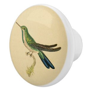 Porte En Céramique Bouton 1830 de tiroir de colibri de cru