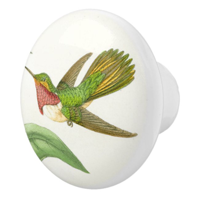 Porte En Céramique Bouton animal de faune d'oiseau de colibri (Droite)