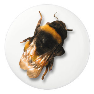 Porte En Céramique Bouton d'abeille de miel