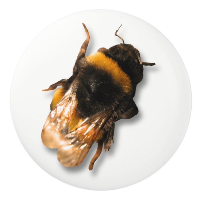 Porte En Céramique Bouton d'abeille de miel (Devant)