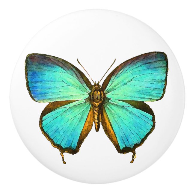 Porte En Céramique Bouton d'animal de faune d'insecte de papillon de (Devant)
