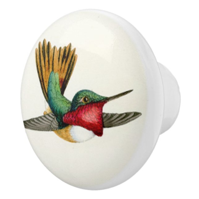 Porte En Céramique Bouton d'animal de faune d'oiseau de colibri (Droite)