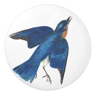 Porte En Céramique Bouton d'animal de faune d'oiseau d'oiseau bleu