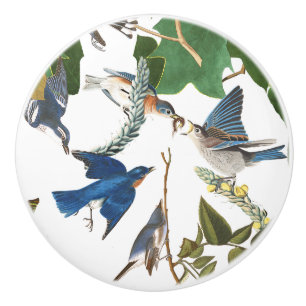 Porte En Céramique Bouton d'animal de faune d'oiseaux d'oiseau bleu
