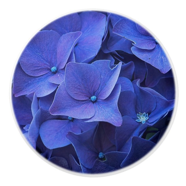 Porte En Céramique Bouton de bleu de Newport (Devant)