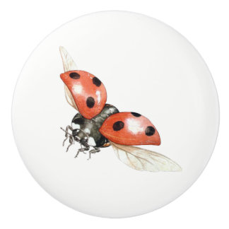 Porte En Céramique bouton de coccinelle