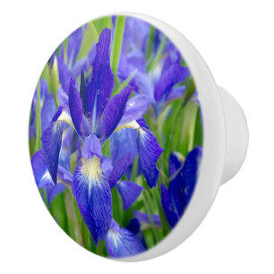 Porte En Céramique Bouton de fleur bleu Iris