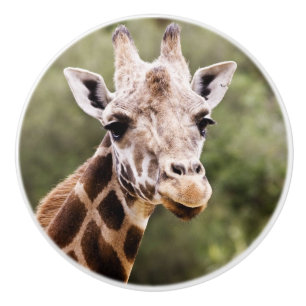 Porte En Céramique Bouton de girafe