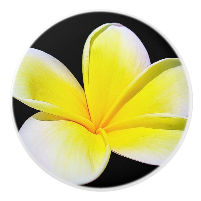 Porte En Céramique Bouton du tiroir de Plumeria (Devant)
