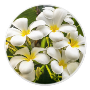 Porte En Céramique Bouton exotique de Plumeria d'île