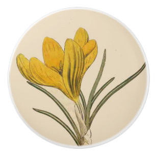 Porte En Céramique Bouton floral de jardin d'art botanique vintage de