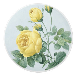 Porte En Céramique Rose jaune vintage, beau bouton de ceramib