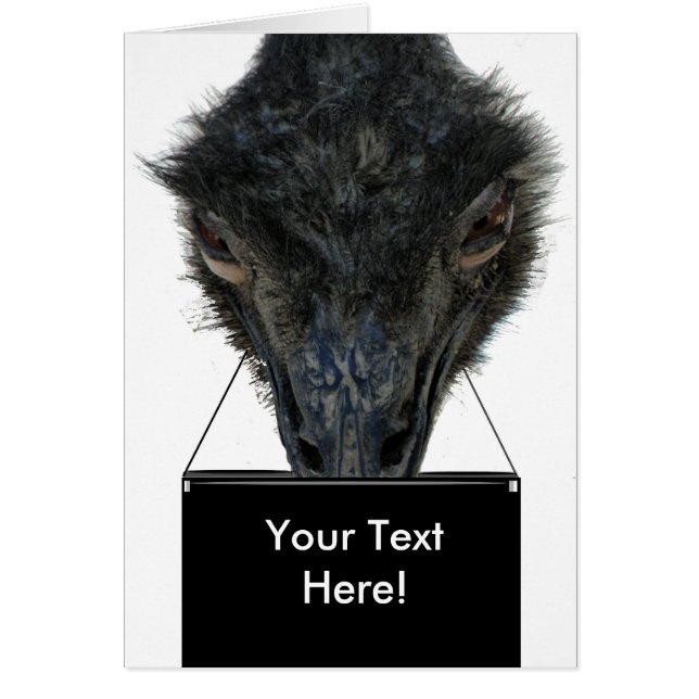 Porte-monnaie Carte Emu ZIZZAGO (Devant)