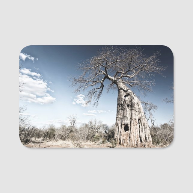 Porte-nom Baobab Tree au Mana Pools National Park, Zimbabwe. (Devant)