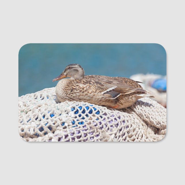 Porte-nom Canard de repos (Devant)