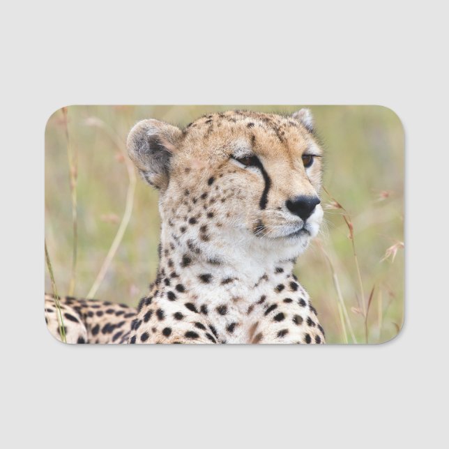 Porte-nom Cheetah (Devant)