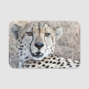 Porte-nom Cheetah Portrait