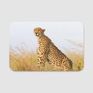 Porte-nom Cheetah Portrait