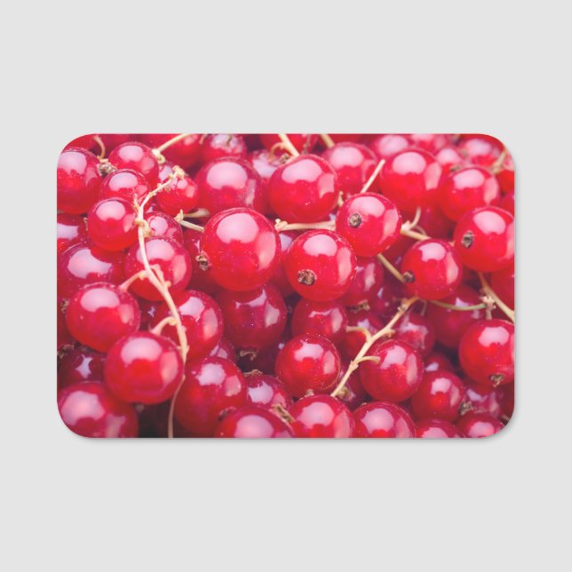 Porte-nom Curateur rouge (Devant)