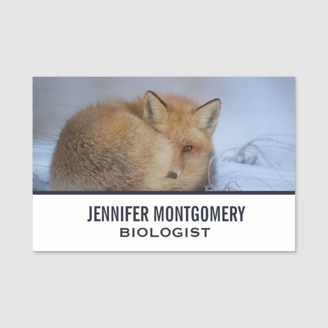 Porte-nom Cute Little Fox Curling Up Winter Photo (Devant)