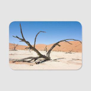 Porte-nom Dead Vlei, Namibie
