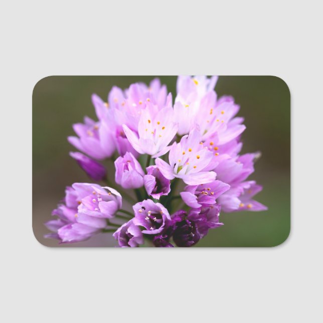 Porte-nom Fleur sauvage (Devant)