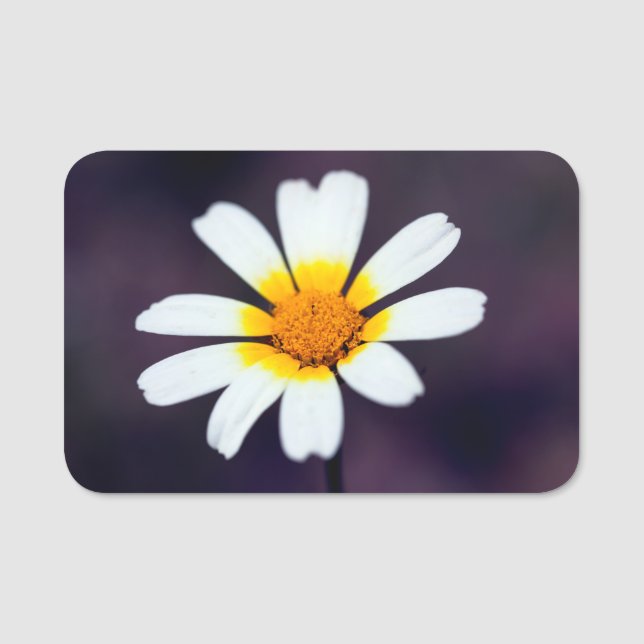 Porte-nom Fleur sauvage (Devant)