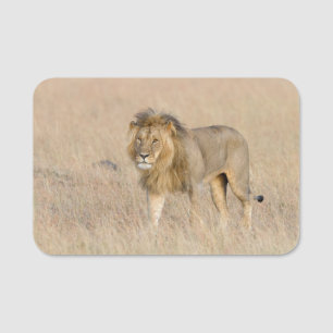 Porte-nom Lion marche