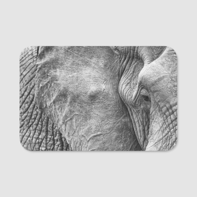 Porte-nom L'oeil d'un éléphant (Devant)