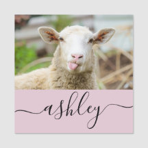 Mouton montrer langue